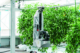 自動収穫ロボットを活用した再現可能な農業の実現