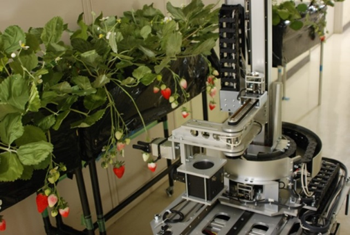 モジュール分散協働型収穫支援ロボットシステム（自走式イチゴ収穫ロボット）