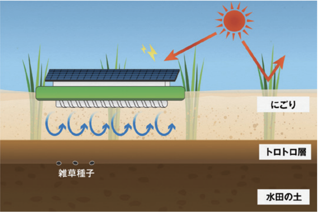 アイガモロボによる雑草の抑草メカニズム