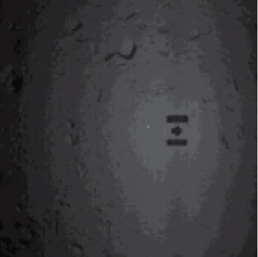 はやぶさ２がターゲットマーカ を追尾する様子