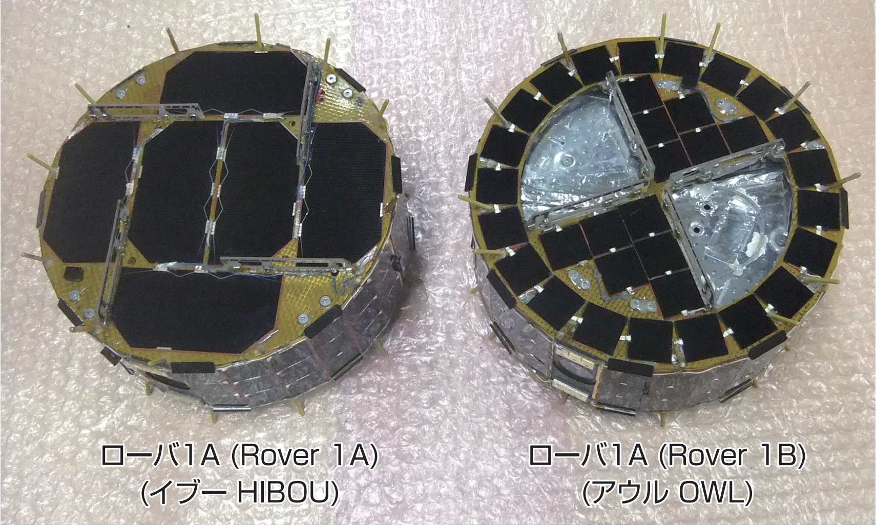 MINERVA-Ⅱの2台のロボット