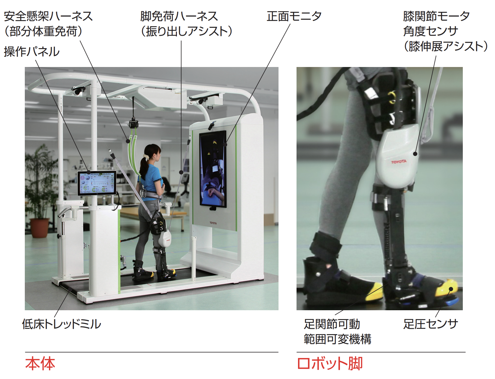 運動学習理論に基づく機能