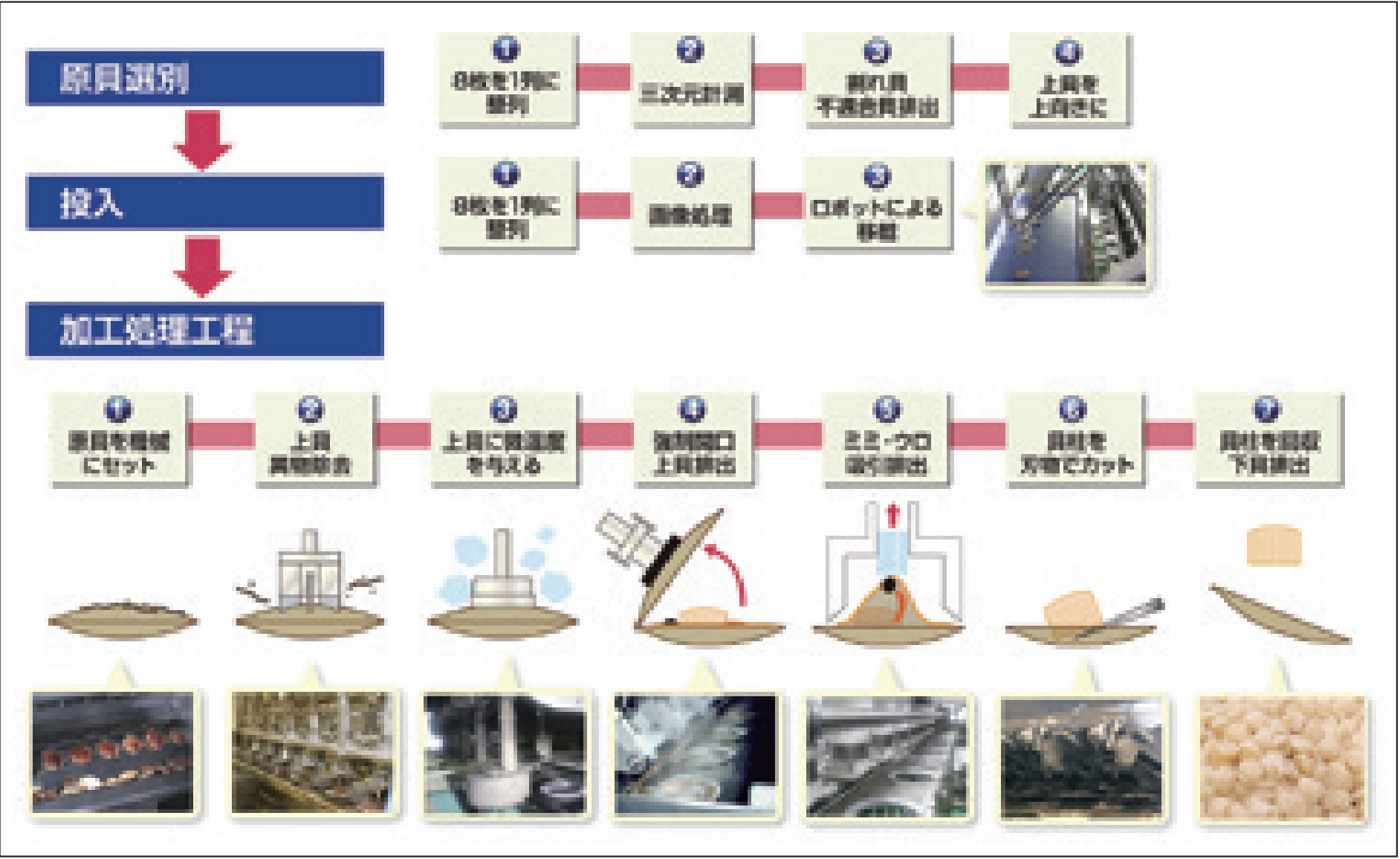 本システムの加工処理工程