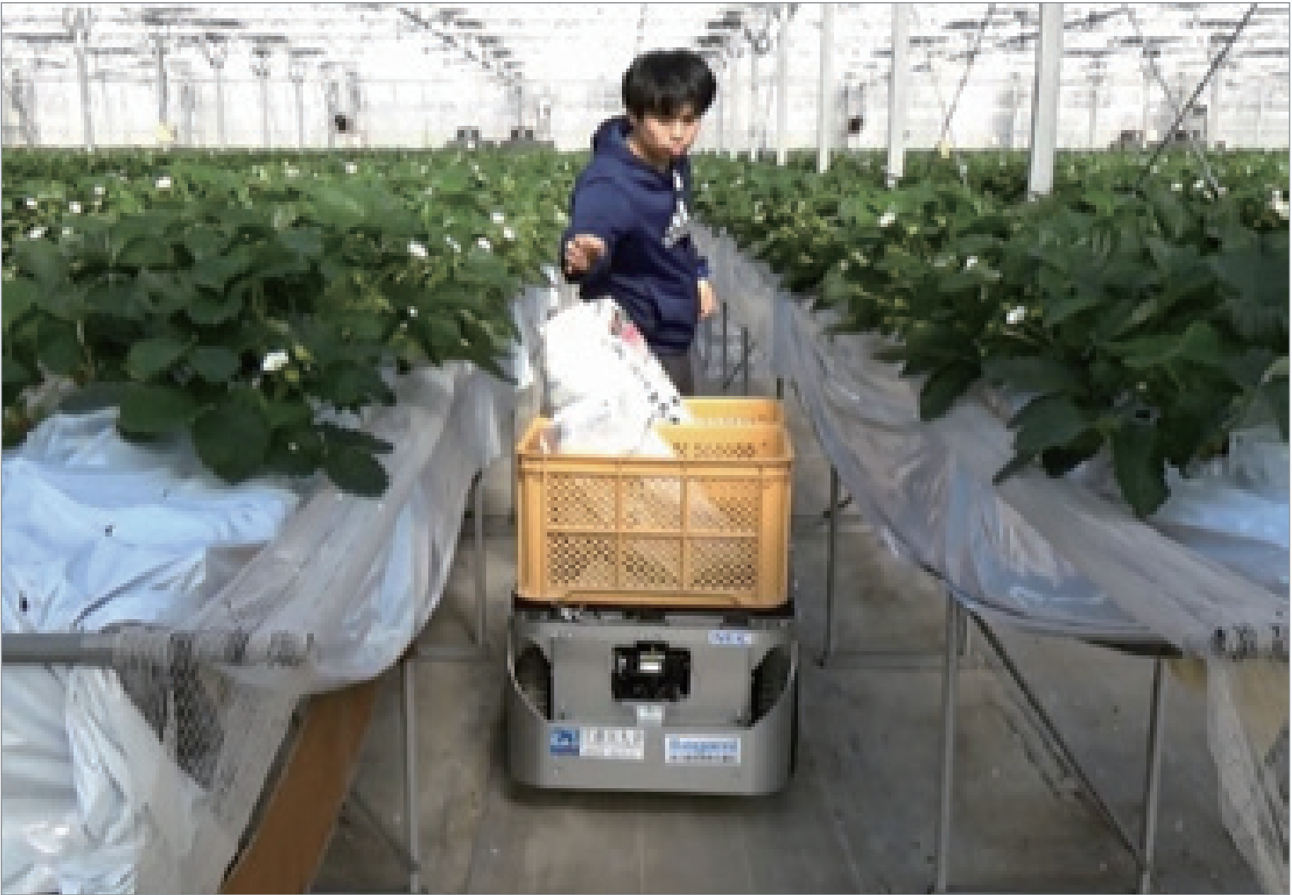 生産者と協働して搬送する移動モジュール