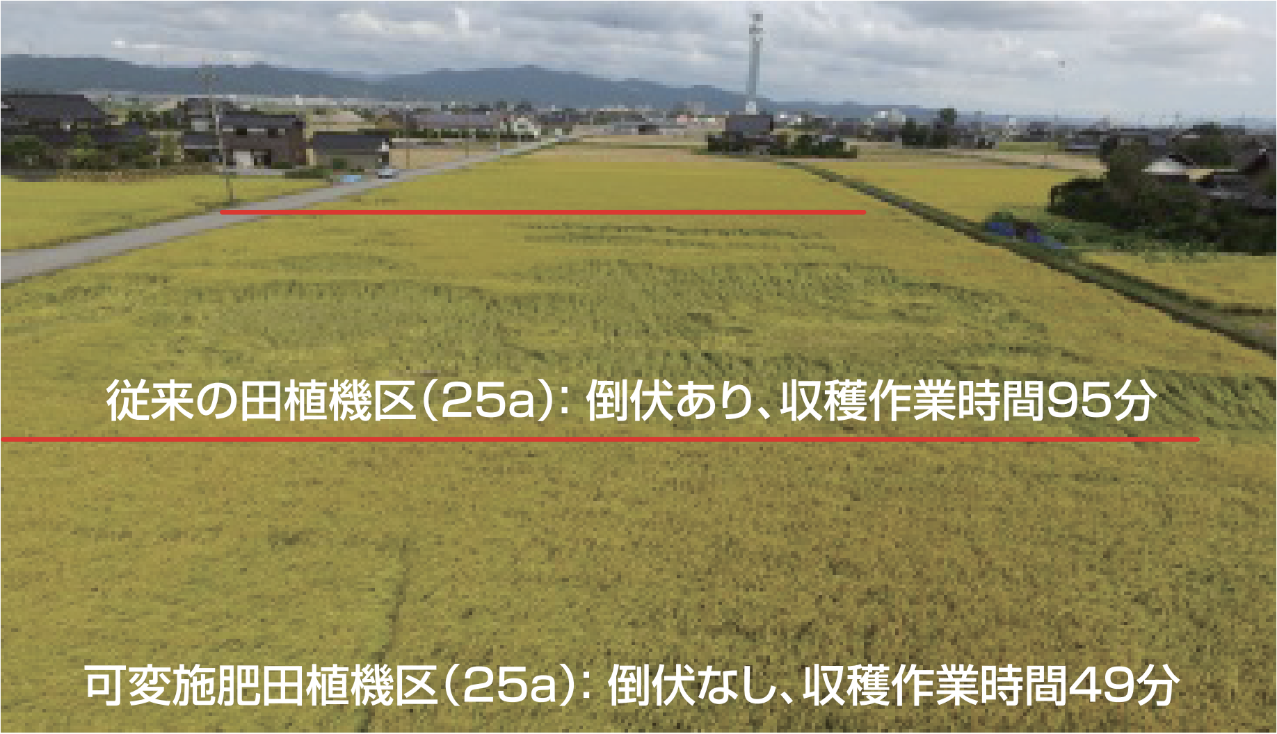 実証試験結果一例