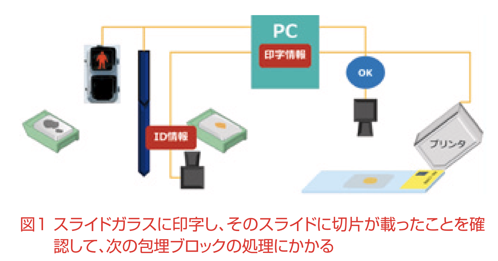 スライドガラスに印字し、そのスライドに切片が載ったことを確 認して、次の包埋ブロックの処理にかかる