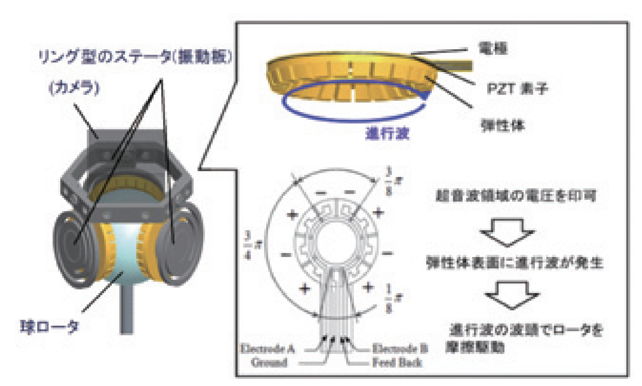 図2． 球面超音波モータの原理