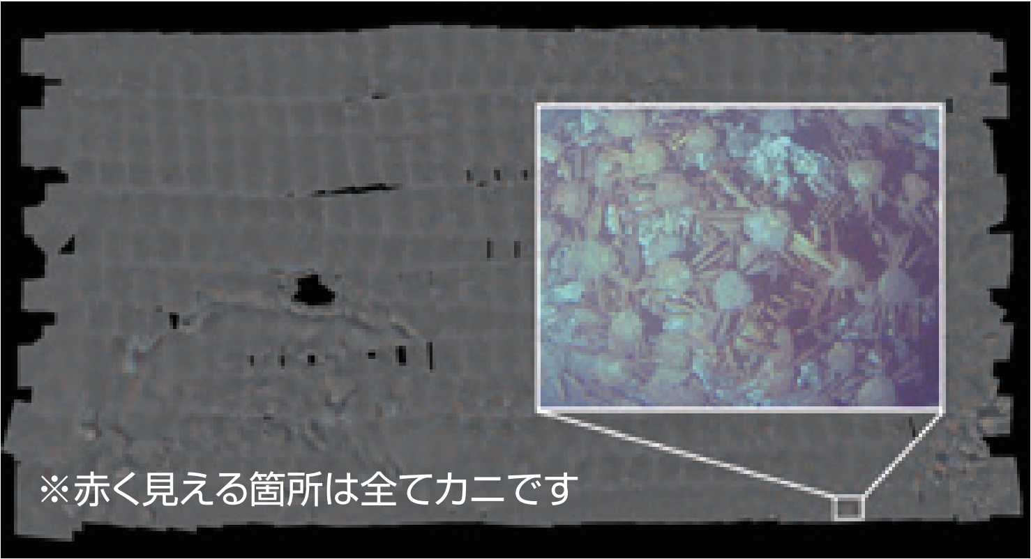モザイク画像 (広さ：40m×20m)