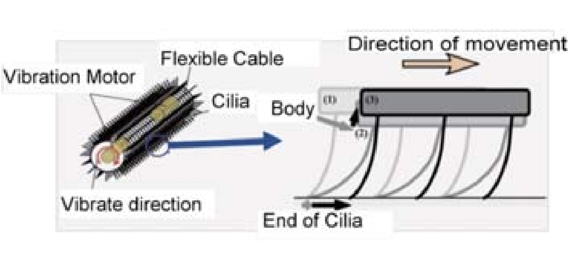 繊毛振動型駆動機構の原理
