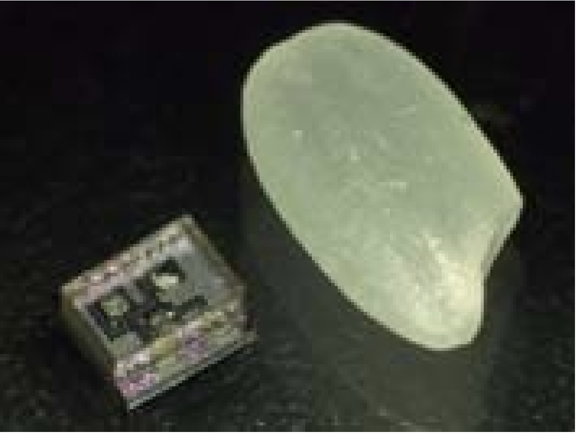 センサーチップと米粒との サイズ比較