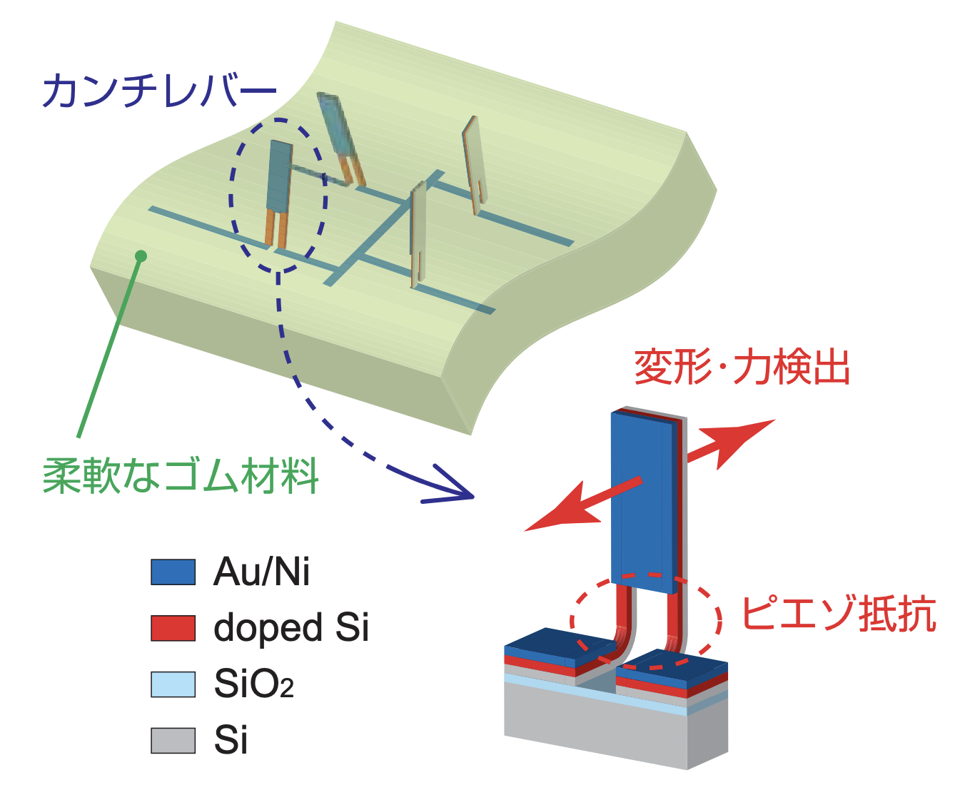 ピエゾ抵抗カンチレバーの原理 センサーチップの特性