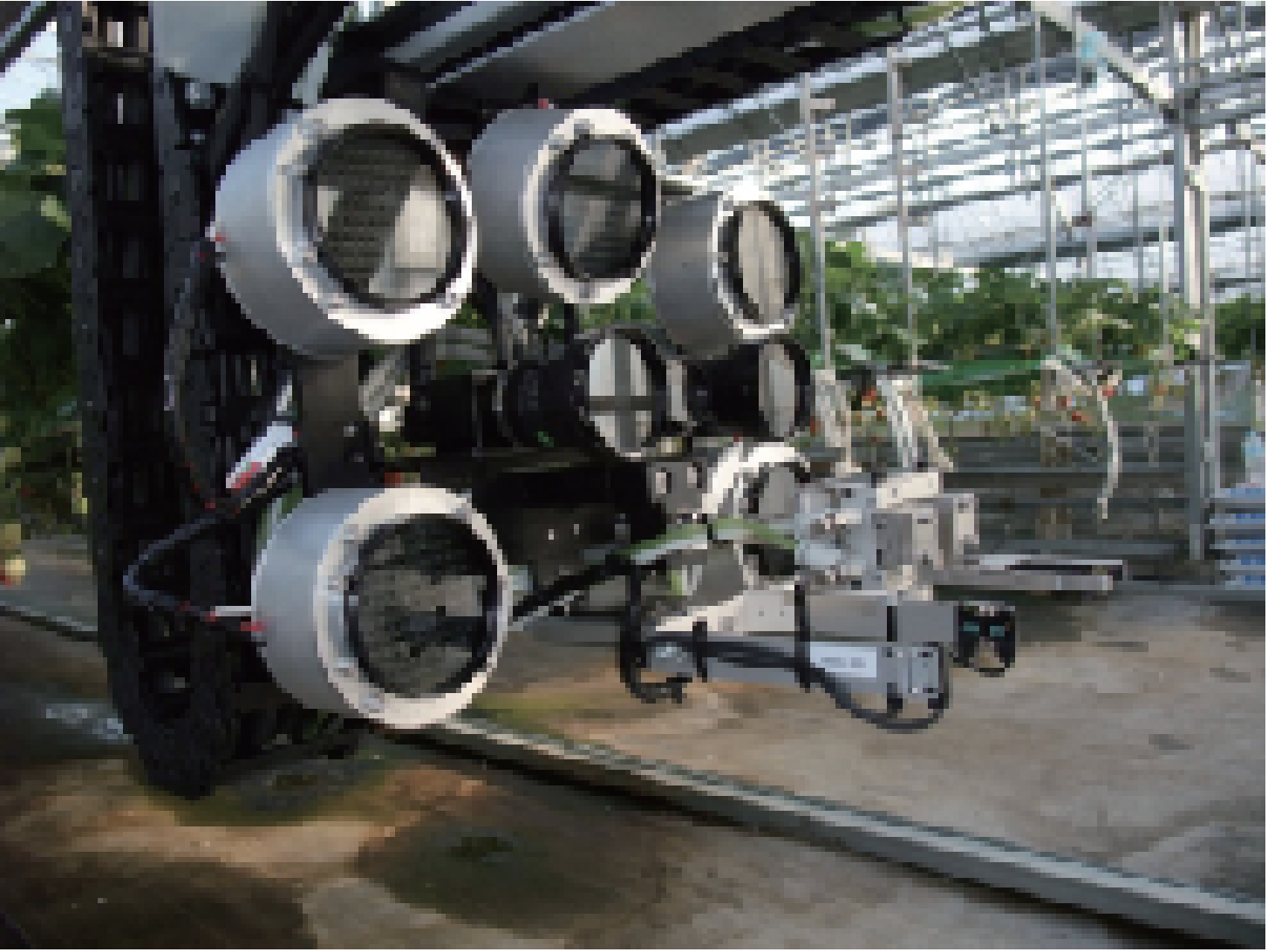 果実に傷つけず果柄を切断して収穫