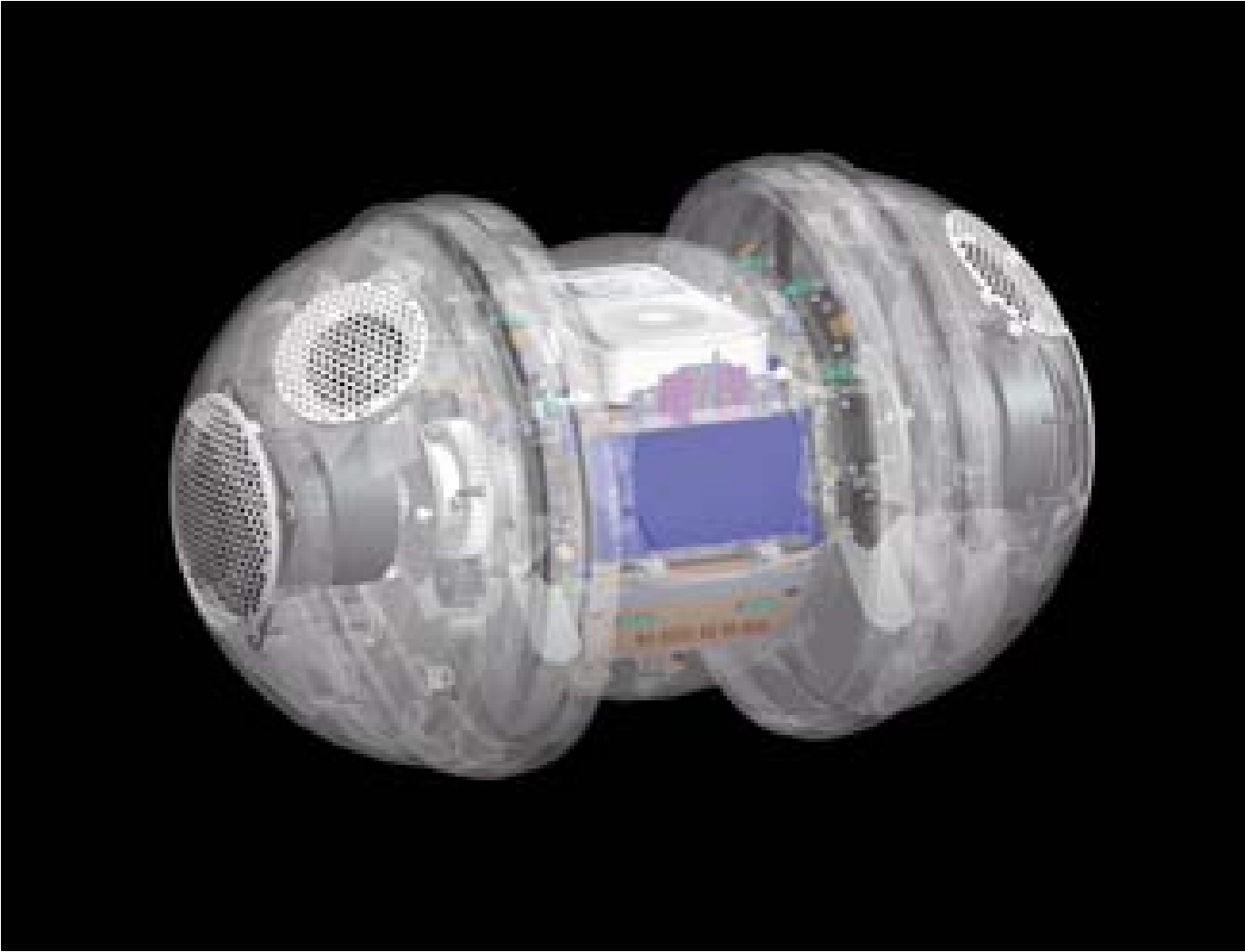 海外展開も開始