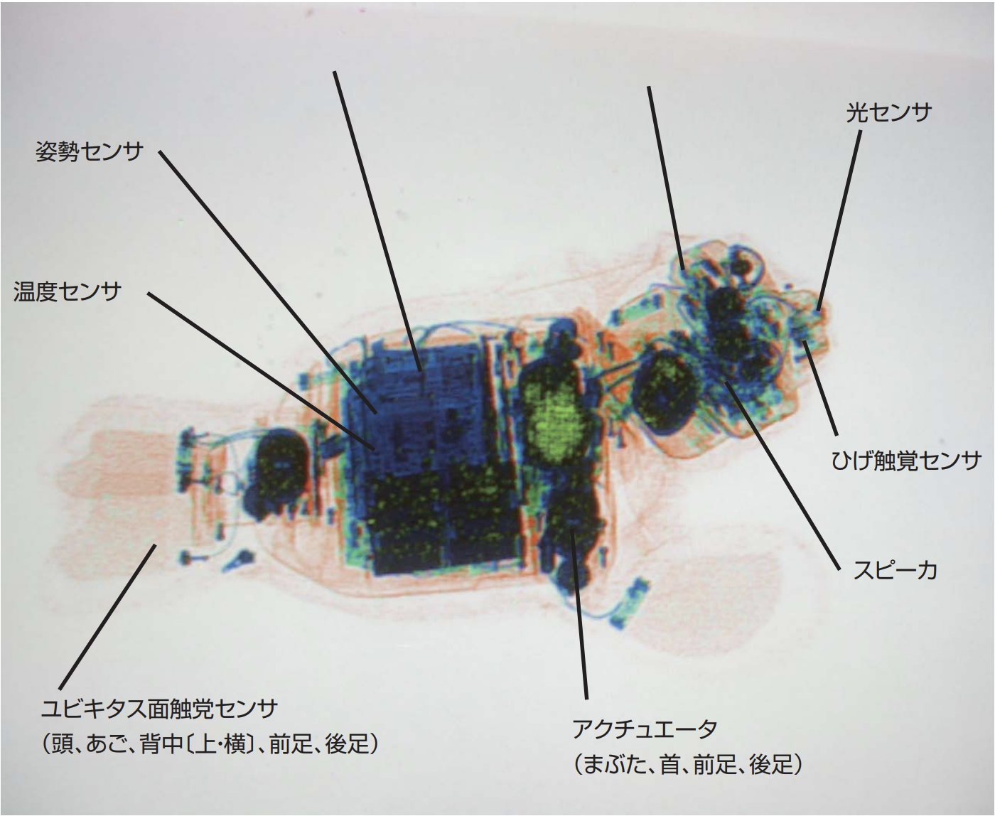 人の心を豊かにするロボット研究